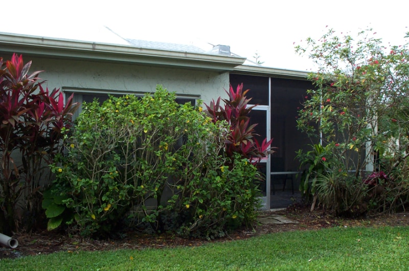 Building Photo - 490 Charlemagne Blvd