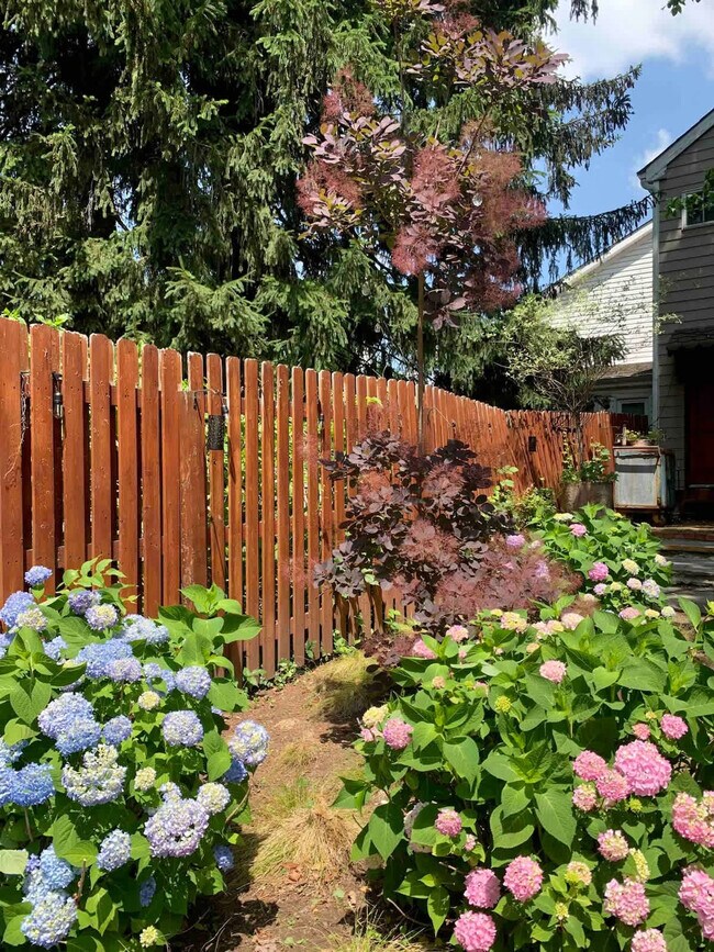 Building Photo - 15 Ferry St