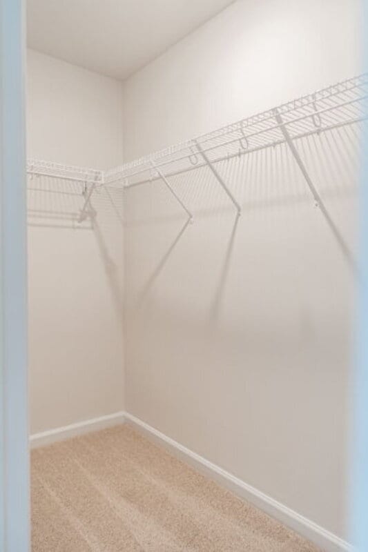 Building Photo - 205 Maddox Dr