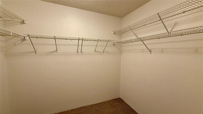 Building Photo - 207 Winter Ridge Blvd