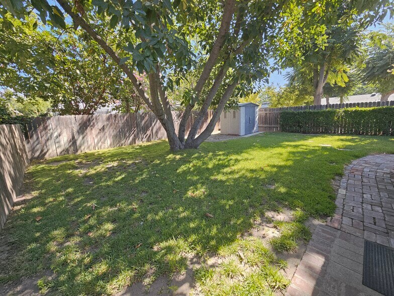 Back Yard - 3851 Oakdale St
