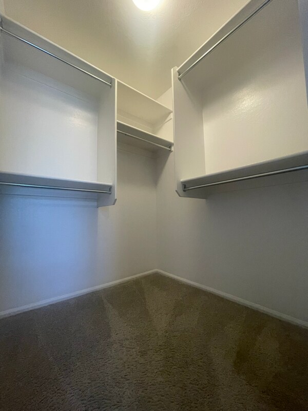 Building Photo - 6032 E Desert Spoon Ln
