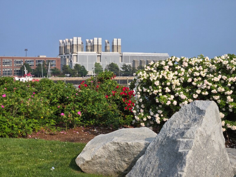 Building Photo - 50 Jeffries St