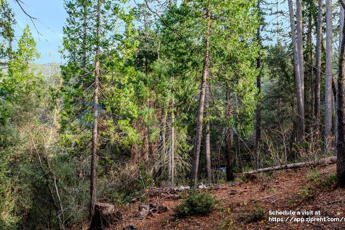 Building Photo - 30374 Withrow Rd