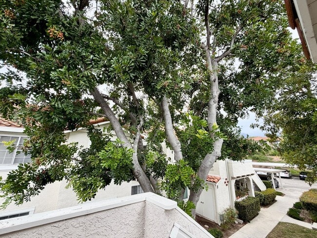 Building Photo - 76 Gavilan