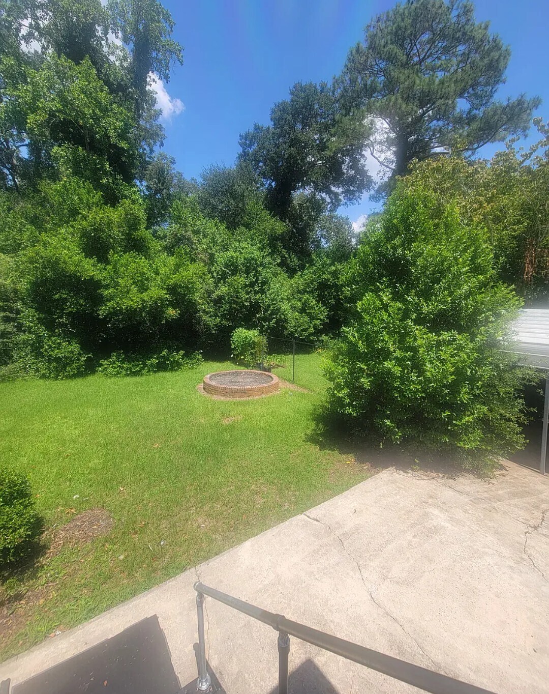 Backyard - 3417 Capers Ave