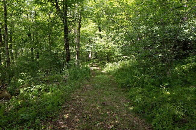 Building Photo - 41 Loon Meadow Dr