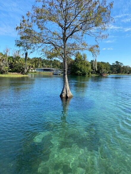 Building Photo - 9938 N Athenia Dr