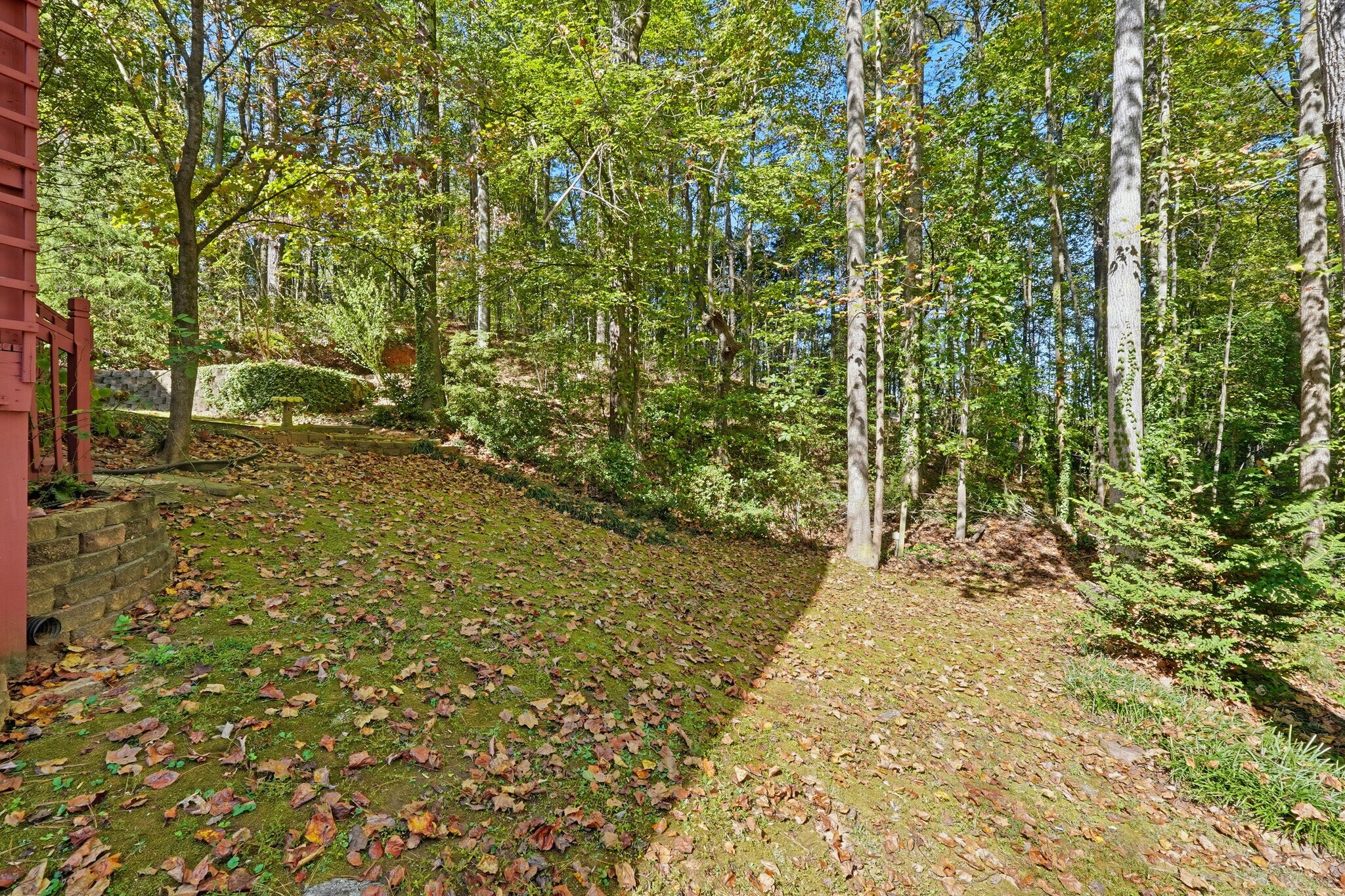 Building Photo - 3007 Clove Tree Ln