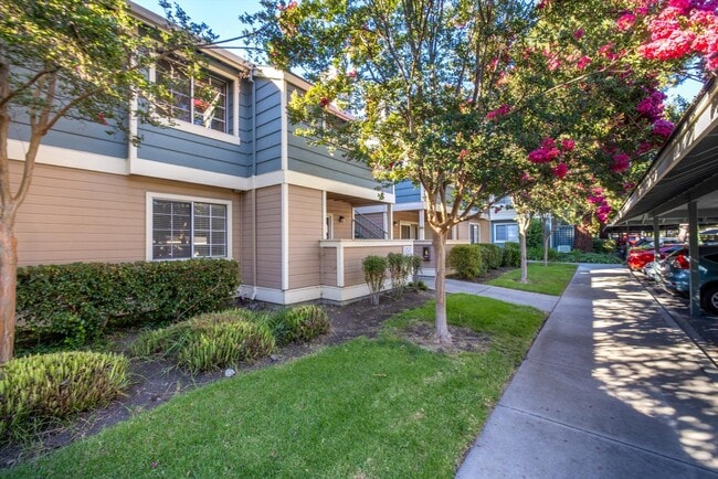 Building Photo - 2702 Somerset Park Cir