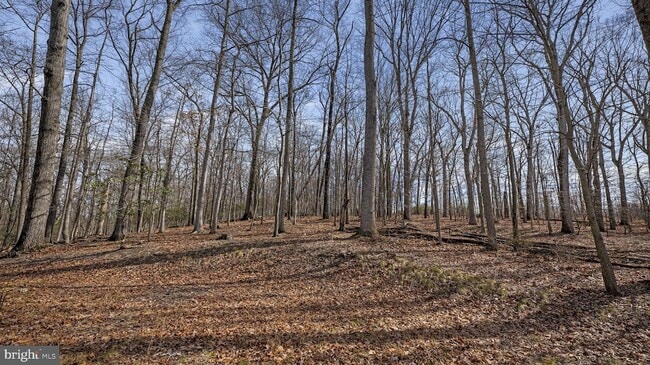Building Photo - 11450 Game Preserve Rd