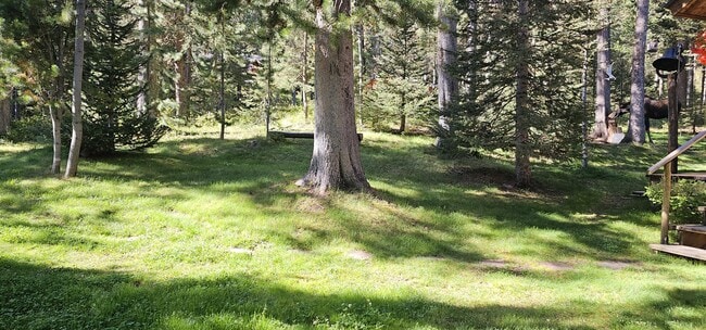Building Photo - 6550 Lodgepole Trail