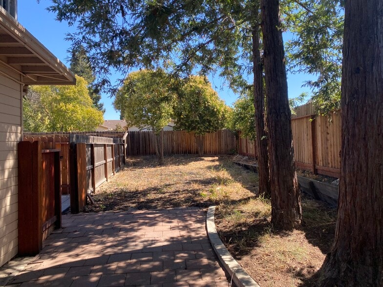 Backyard - 1842 Lynwood Dr
