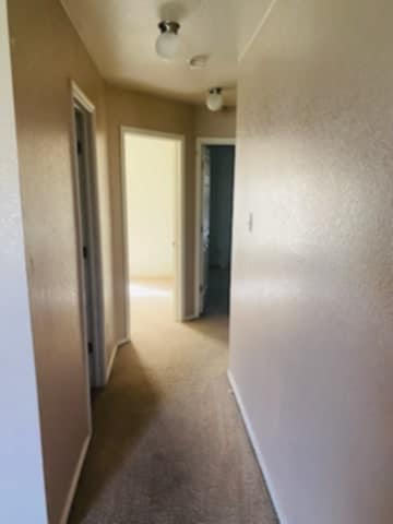 Building Photo - 306 Sumac Trail