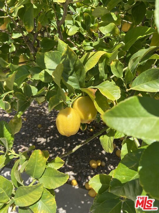 Building Photo - 3743 Mountain Gate