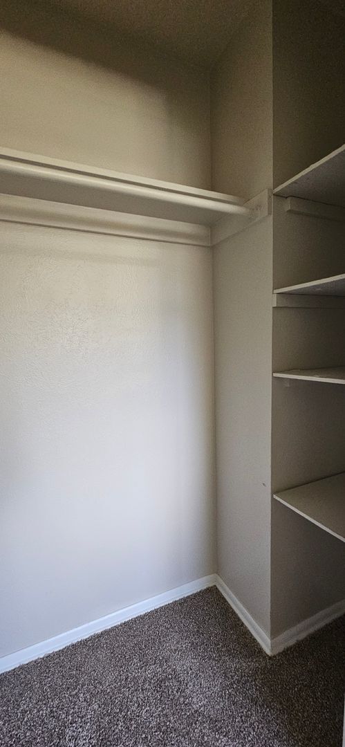 Building Photo - AVAILABLE NOW! Arvada 3 Bed 2 Bath Duplex New Paint New Flooring!