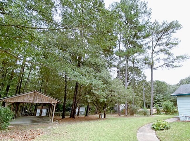 Backyard - 6341 Spout Springs Rd