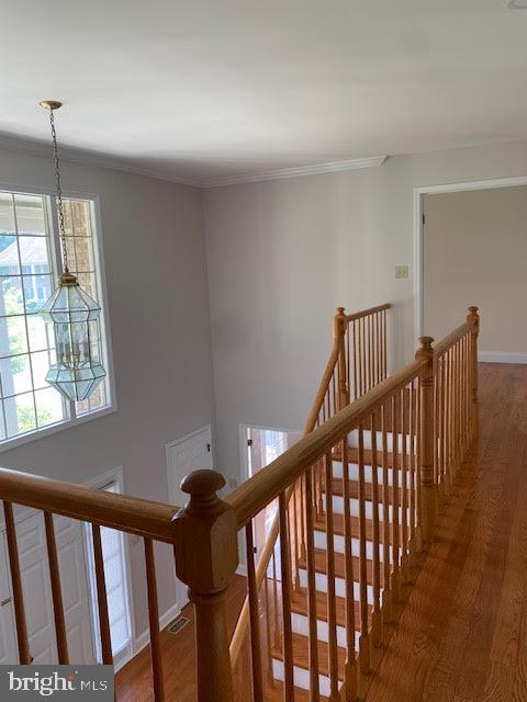 Building Photo - 8 Poplar Ct