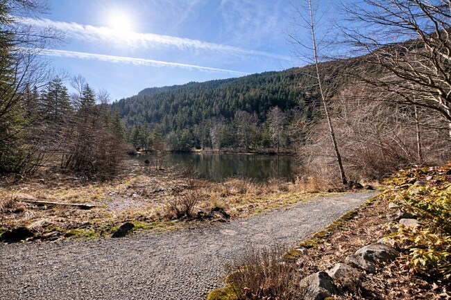 Building Photo - 42203 SE 168th St