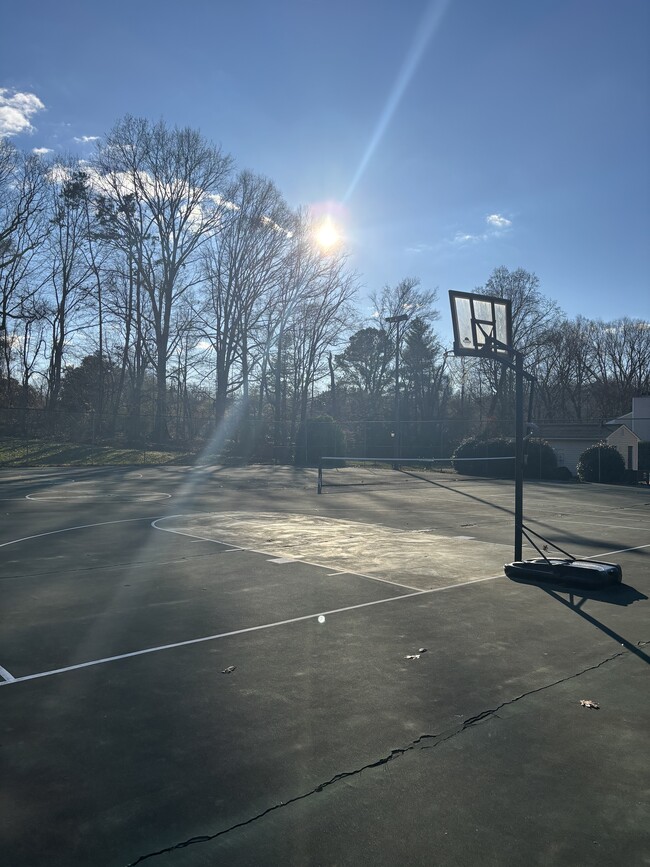 Basketball/tennis court - 159 Turnwood Ln