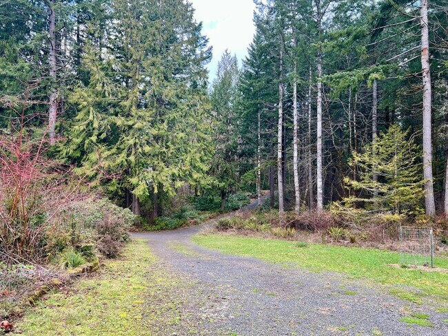 Building Photo - PENDING APPLICATION; Private 5 Acres