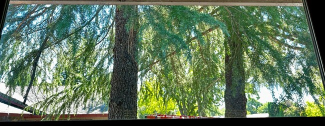 Building Photo - Spacious 1 Bedroom with RIVER TRAIL ACCESS!!