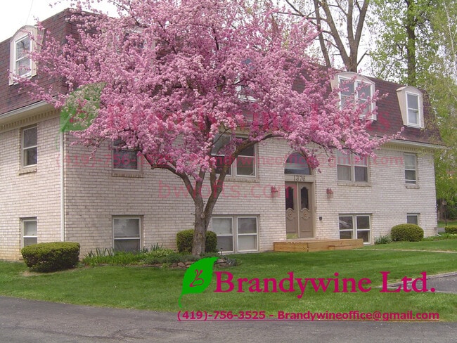 Building Photo - Brandywine Appartments - Robinhood