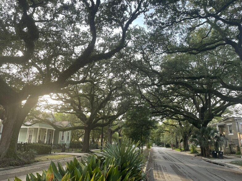 Street view in front of house - 2815 Ursulines Ave
