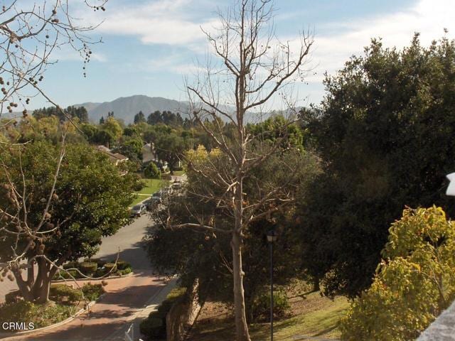 Building Photo - 2623 Antonio Dr