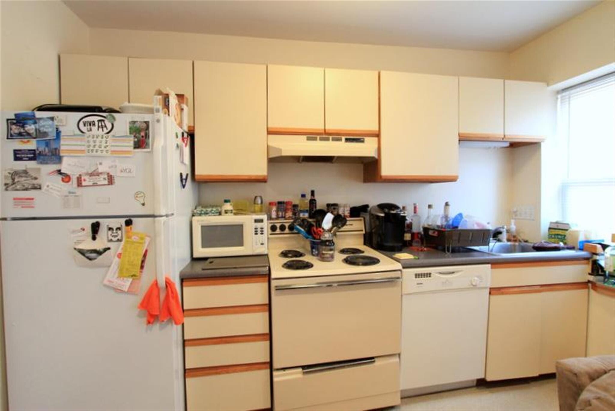 Building Photo - 41 Ivaloo St