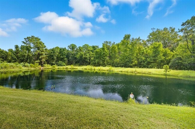 Building Photo - 51 Graham Wds Pl