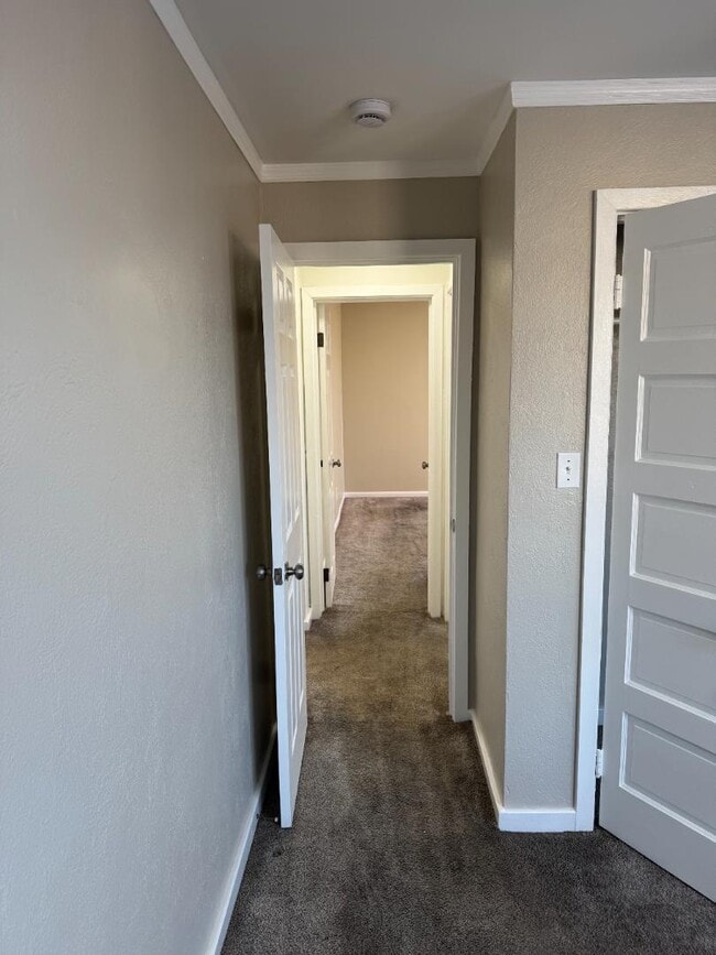 Building Photo - 525 14th Ave