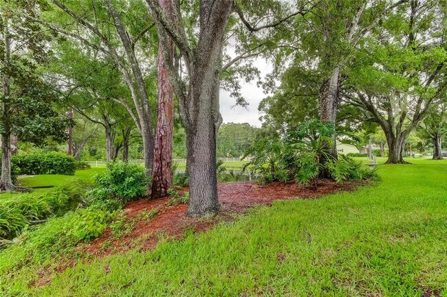 Building Photo - 3147 Brooker Creek Way