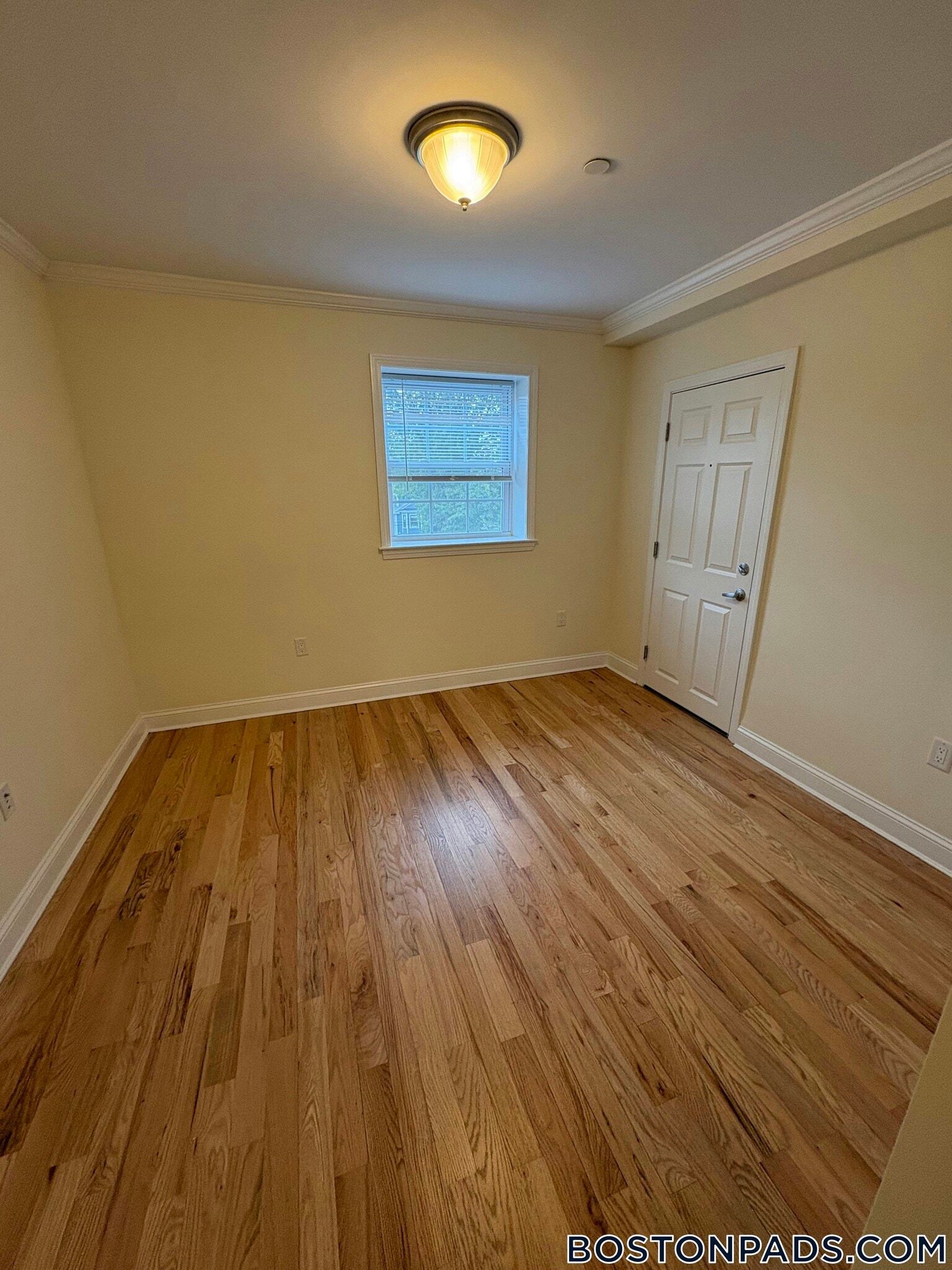 Building Photo - 55 Langdon St