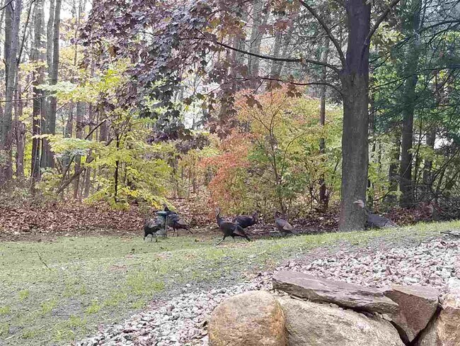 Building Photo - 53 1st NH Turnpike