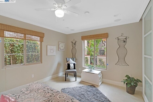 Building Photo - 549 Ficus Terrace