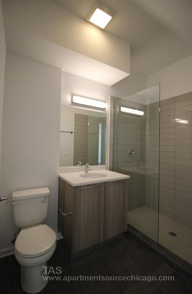 Building Photo - HUGE DUPLEX DOWN condo-quality 2 Bed/2.5 bath In the heart of Wrigley!