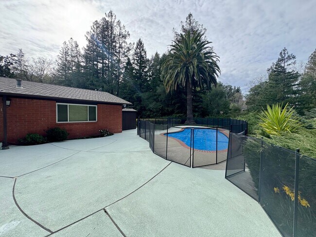 Building Photo - Spacious Single Level Home with Swimming Pool in Alamo Available Now!