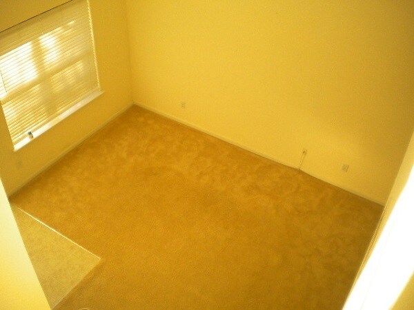 Building Photo - 1041 Stoney Falls Blvd