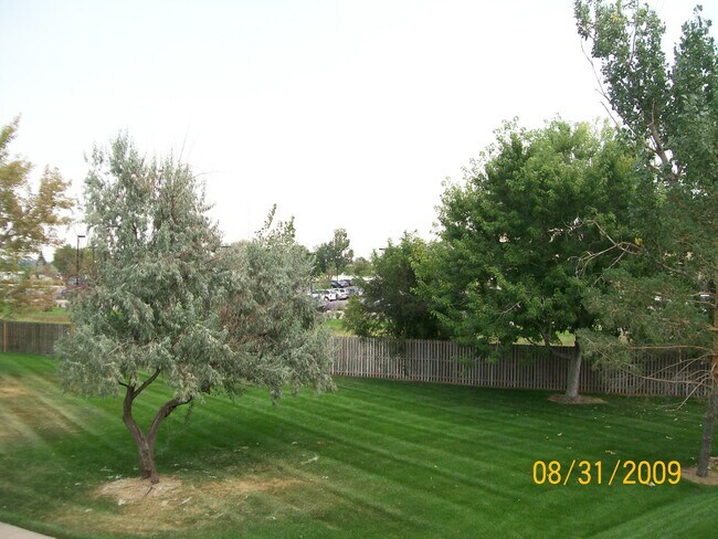 View from patio - 8470 Decatur St
