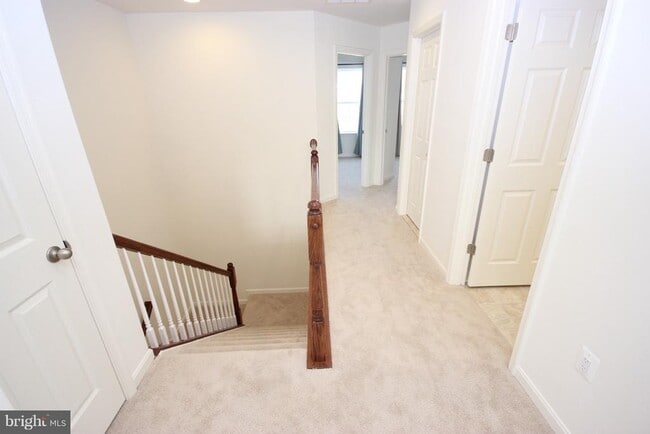 Building Photo - 21517 Willow Breeze Sq