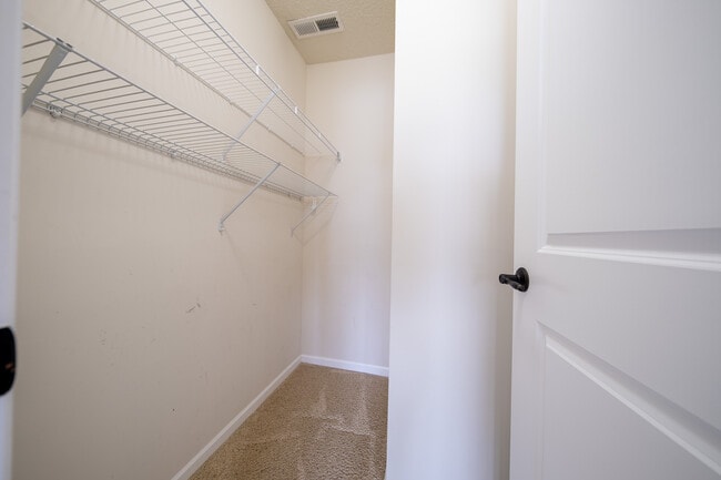 Building Photo - 9183 Lighthouse Ln