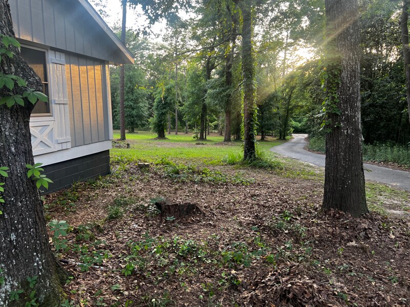 Building Photo - 129 Jean Dr