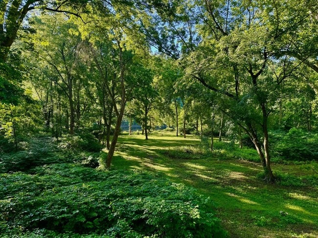 Building Photo - Riverfront home in a quiet spot, 3 acres, ...