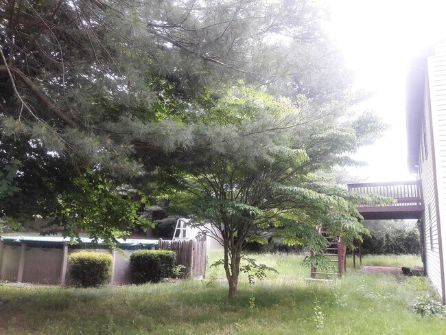 Building Photo - 606 Rye St