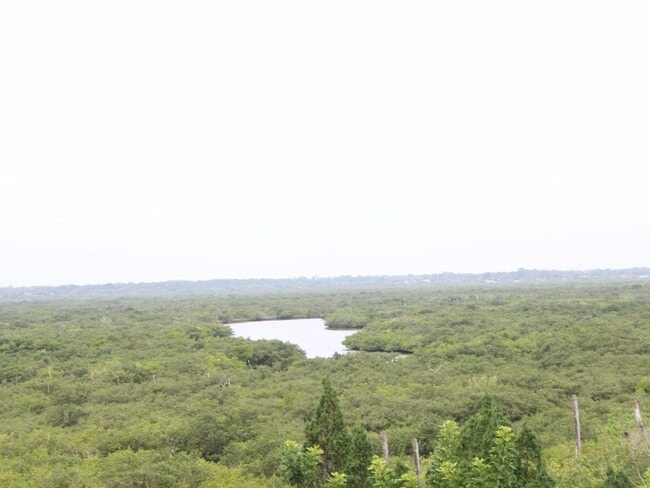 Building Photo - Beautiful Ocean Walk Condo Available February 19th