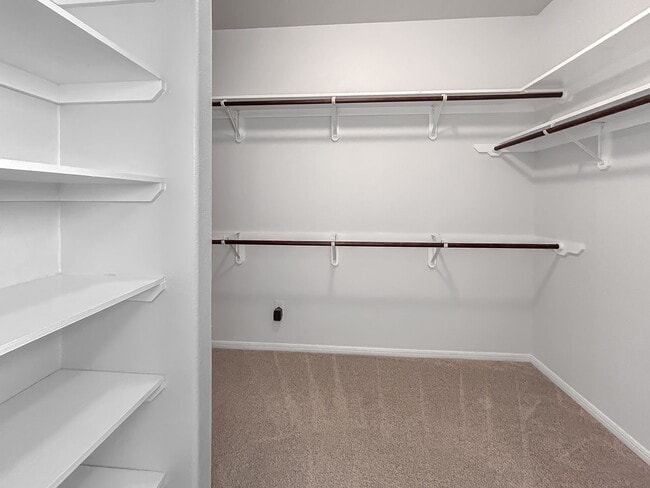 Building Photo - Spacious and Stylish in Schertz!