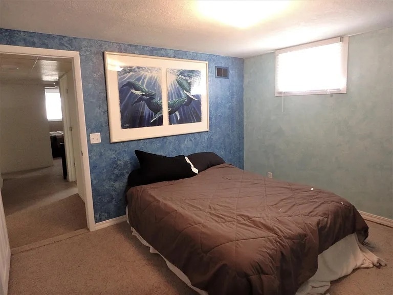 Basement bedroom - 446 Center St