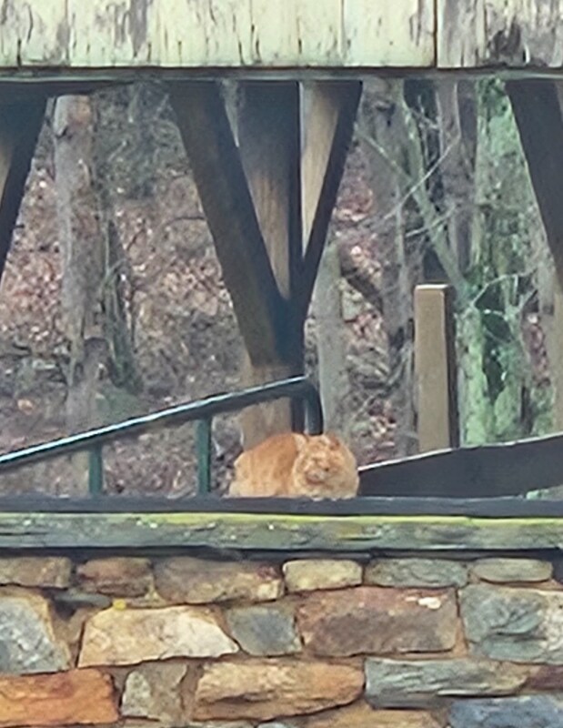 Building Photo - 4020 Bay Rd