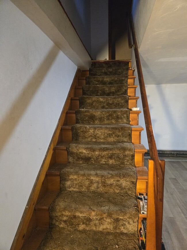 Carpeted Stairs - 99 Coal St